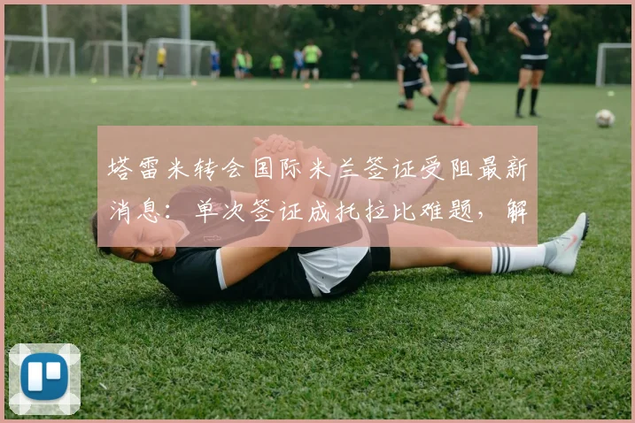 塔雷米转会国际米兰签证受阻最新消息：单次签证成托拉比难题，解析球员转会常见签证问题与应对